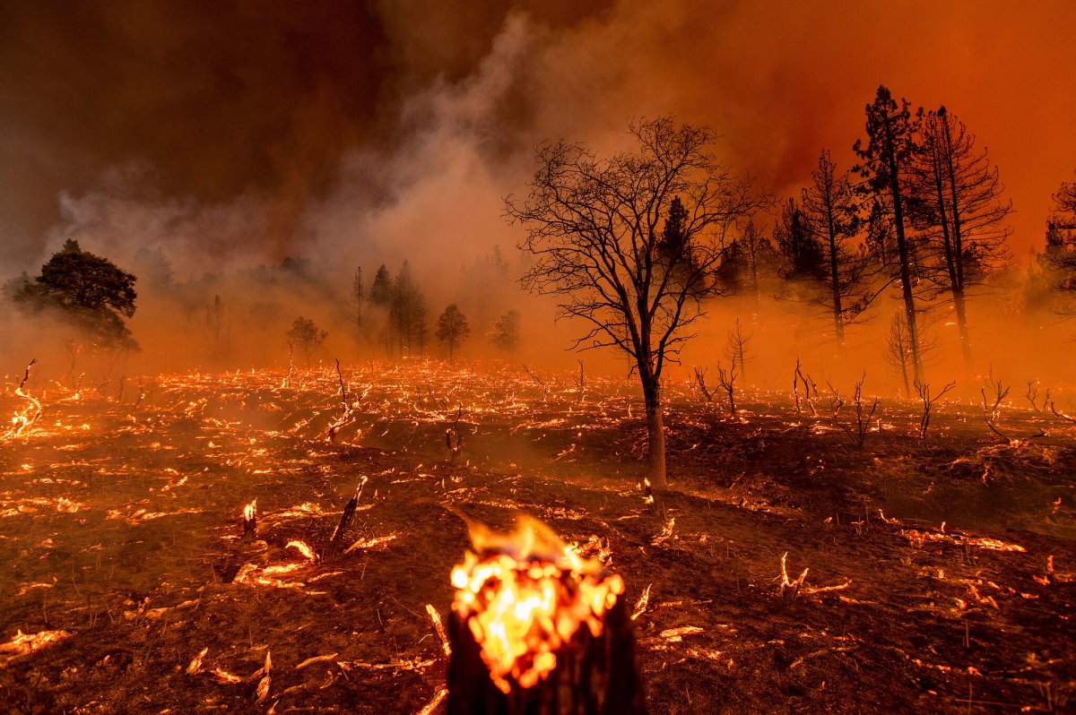 'God was with him': Actor James Woods describes harrowing wildfire